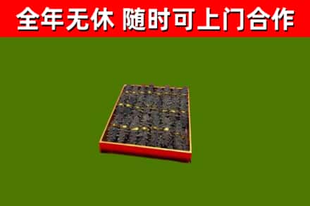 睢阳回收海参